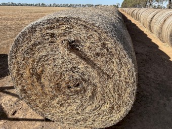 75mt Vetch Hay 5x4 Rolls