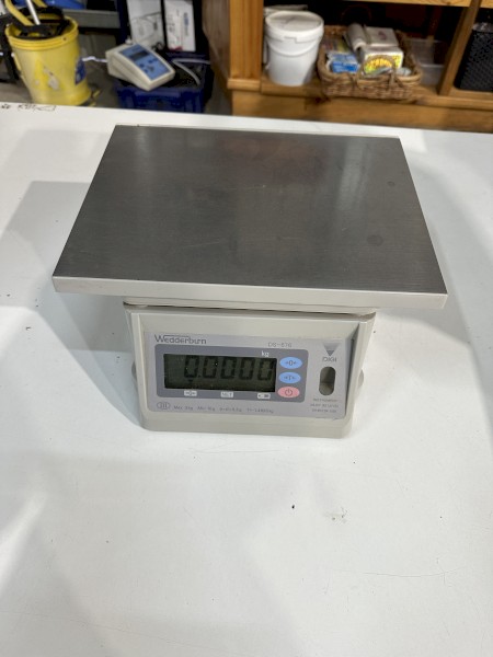 Wedderburn 3000g Bench Scales