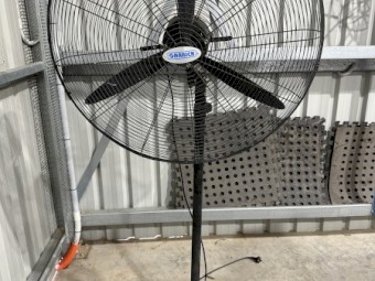 Pedestal Fan