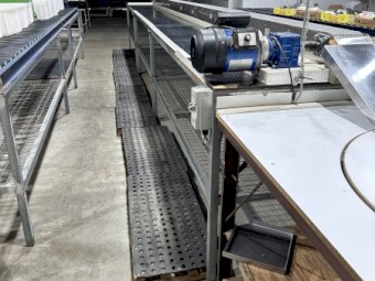 Fruit Packing Line