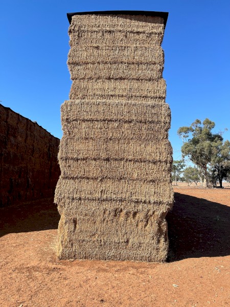 2024 Vetch Hay 