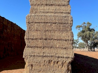 2024 Vetch Hay 