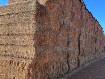 2024 Vetch Hay 