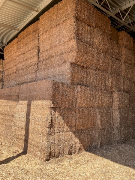 2024 Vetch Hay 