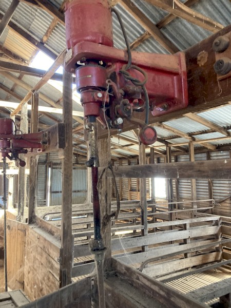Sunbeam Shearing Stands x 3