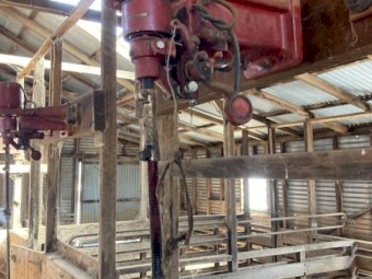 Sunbeam Shearing Stands x 3