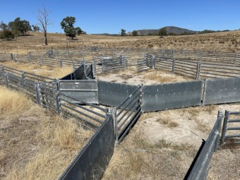 800 Semi Permanent Sheep Yards