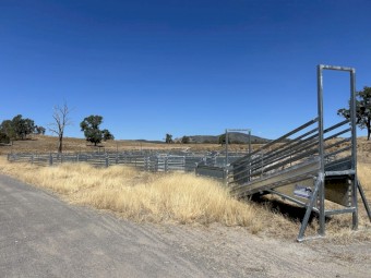 800 Semi Permanent Sheep Yards