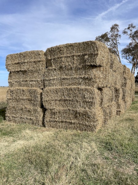 2024 Wheat straw