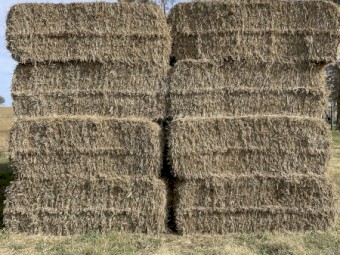 2024 Wheat straw