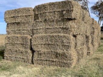 2024 Wheat straw