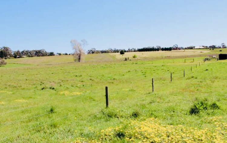 9 acre Residntial Land (with Services) for Lease in Hamilton