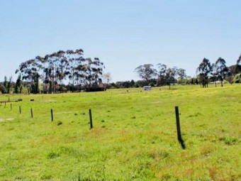 9 acre Residntial Land (with Services) for Lease in Hamilton