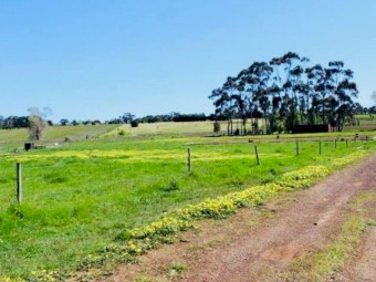 9 acre Residntial Land (with Services) for Lease in Hamilton