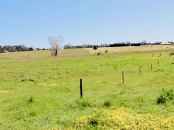 9 acre Residntial Land (with Services) for Lease in Hamilton