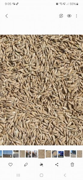28mt Possum Oats
