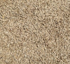 28mt Possum Oats