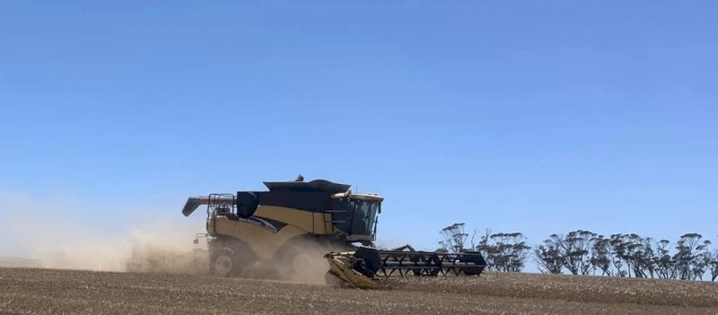 New holland CR 960 +honeybee 94c