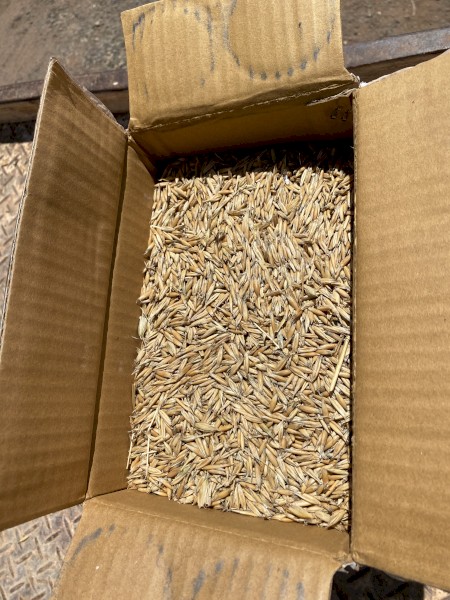 Brusher Oats