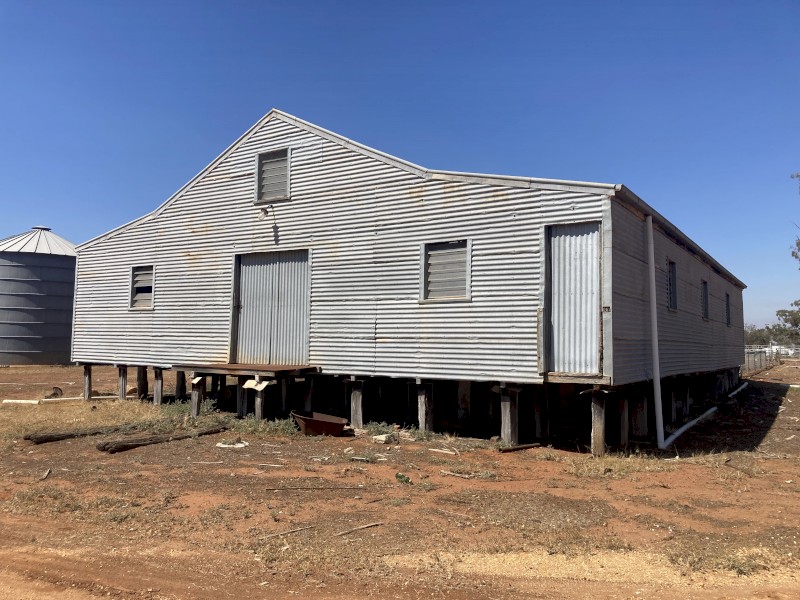 Shearing shed
