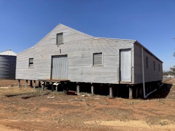 Shearing shed