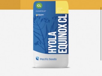 Selling Hyola Equinox CL 35 x 20kg