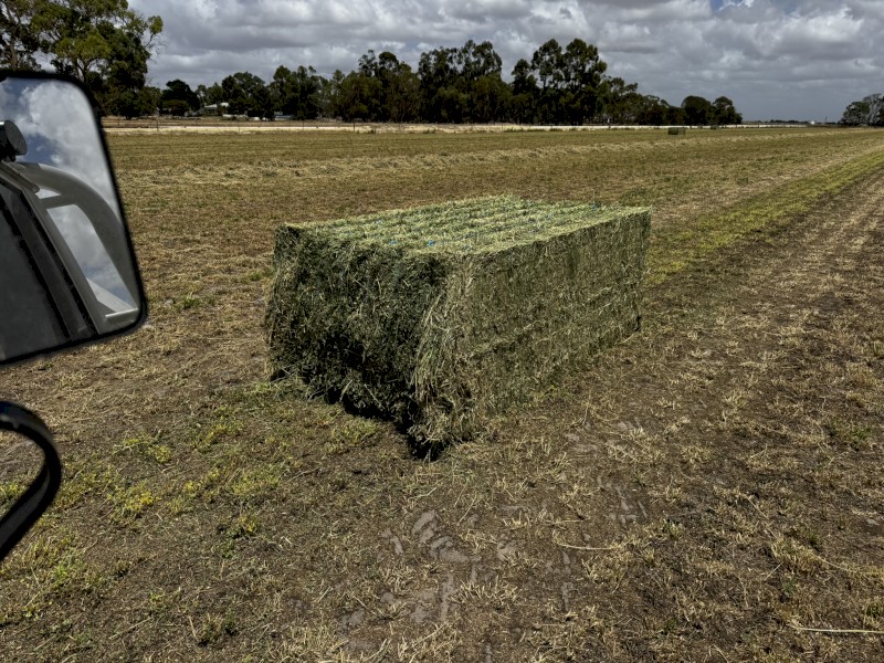 800mt Lucerne Hay 8x4x3 Bales