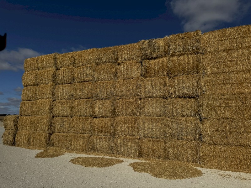 60mt Commodus Barley Straw 8x4x3 Bales