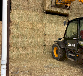 Excellent Quality Oaten Hay 