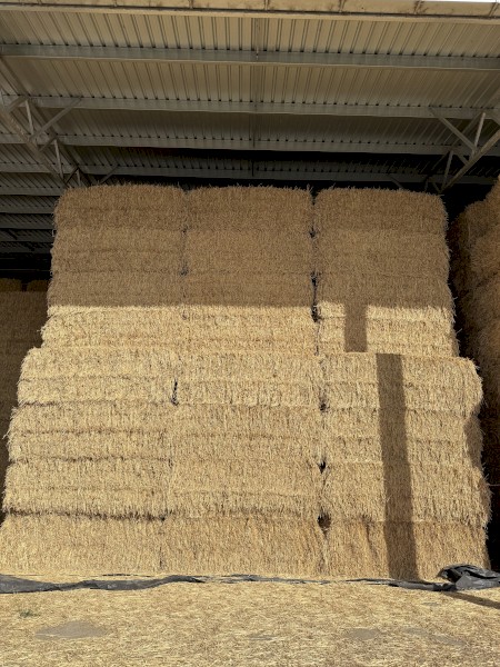 200mt Awnless Wheat Hay 690kg 8x4x3 Bales