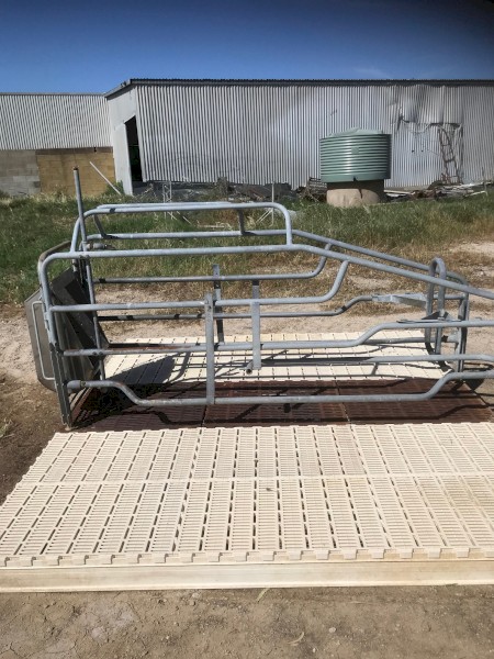 Piggery farrowing Crates x 31