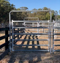 Custom Leicht's CIA Wrangler 30 head Yards
