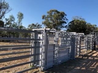 Custom Leicht's CIA Wrangler 30 head Yards