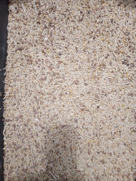 29t Feed Grain Mix