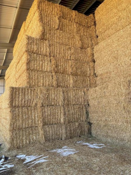 Oaten Hay