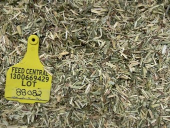 Oaten Hay