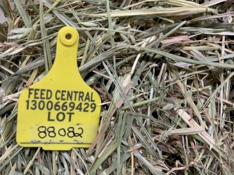 Oaten Hay