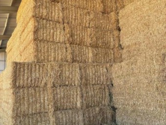 Oaten Hay