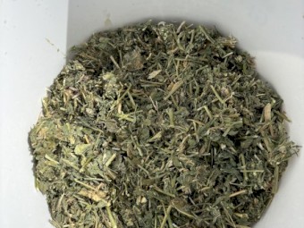 1st cut lucerne