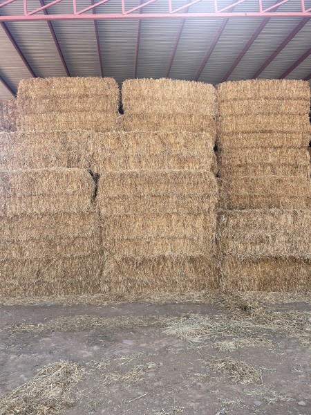 Oaten hay 
