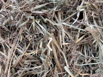 Oaten hay 