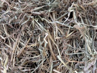 Oaten hay 