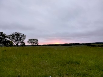 20-30 hectares pasture hay for share
