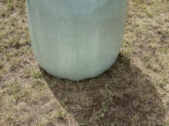 Lucerne Silage