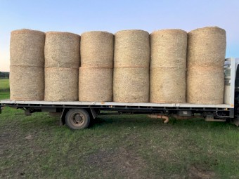 Shedded 24 bale Load of Quality 4*4 Rhodes or Bluegrass Hay