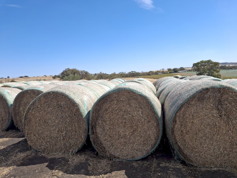 Pea Straw 5x4 rolls, Dec 2023