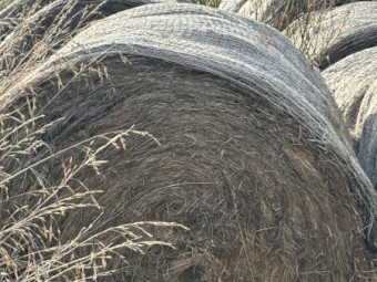 4' x 5' Round Bales for Cattle.  2022 BALNARRING