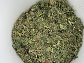 1st cut lucerne