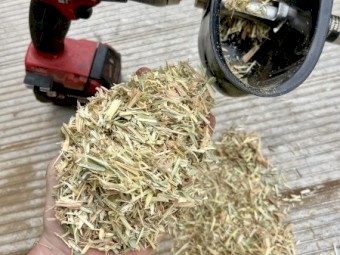 Top Quality Wheat Hay 