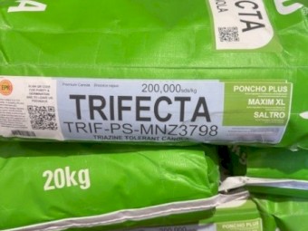 HYTTEC Trifecta Canola Poncho/Saltro